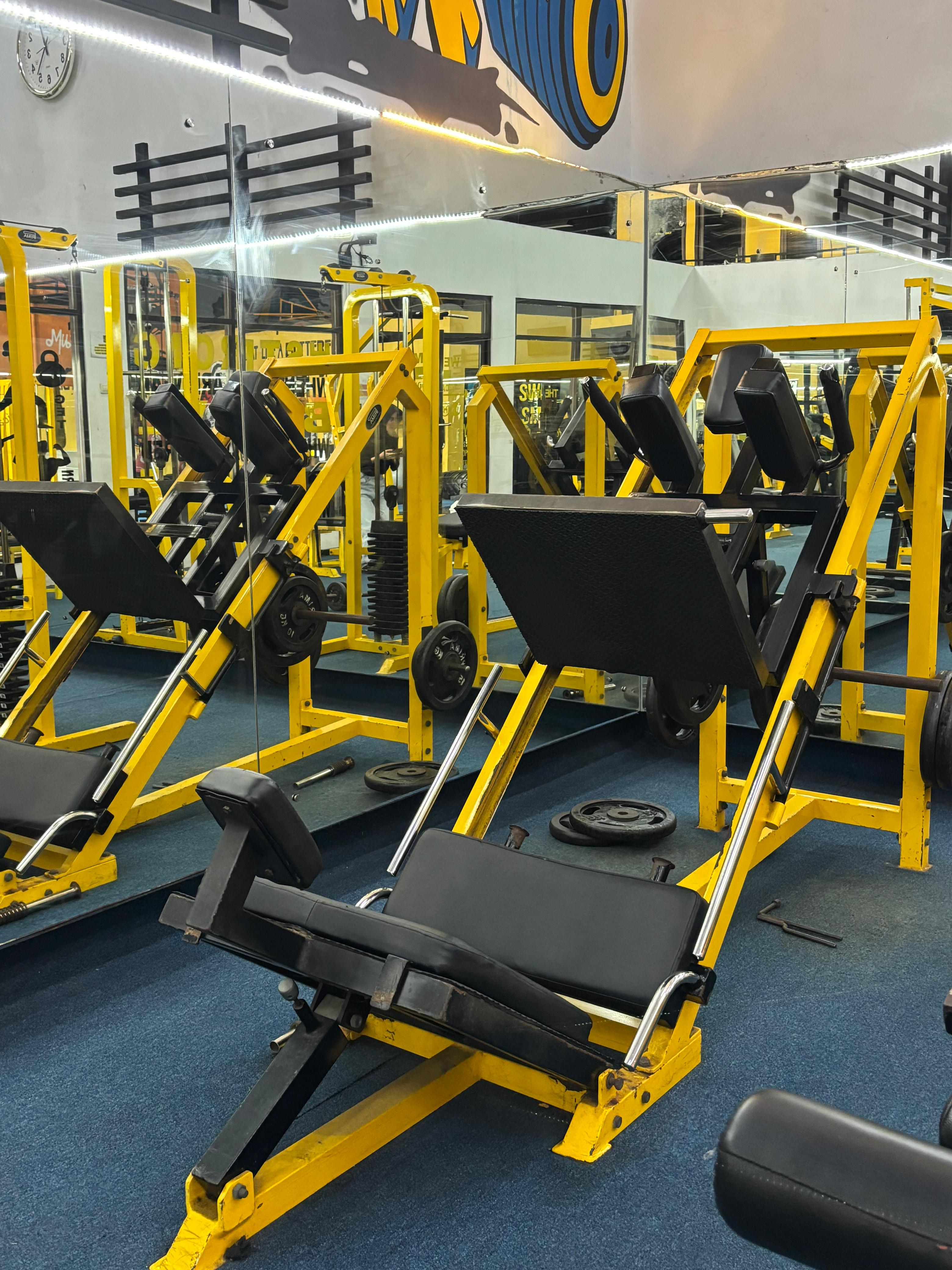 Leg Press