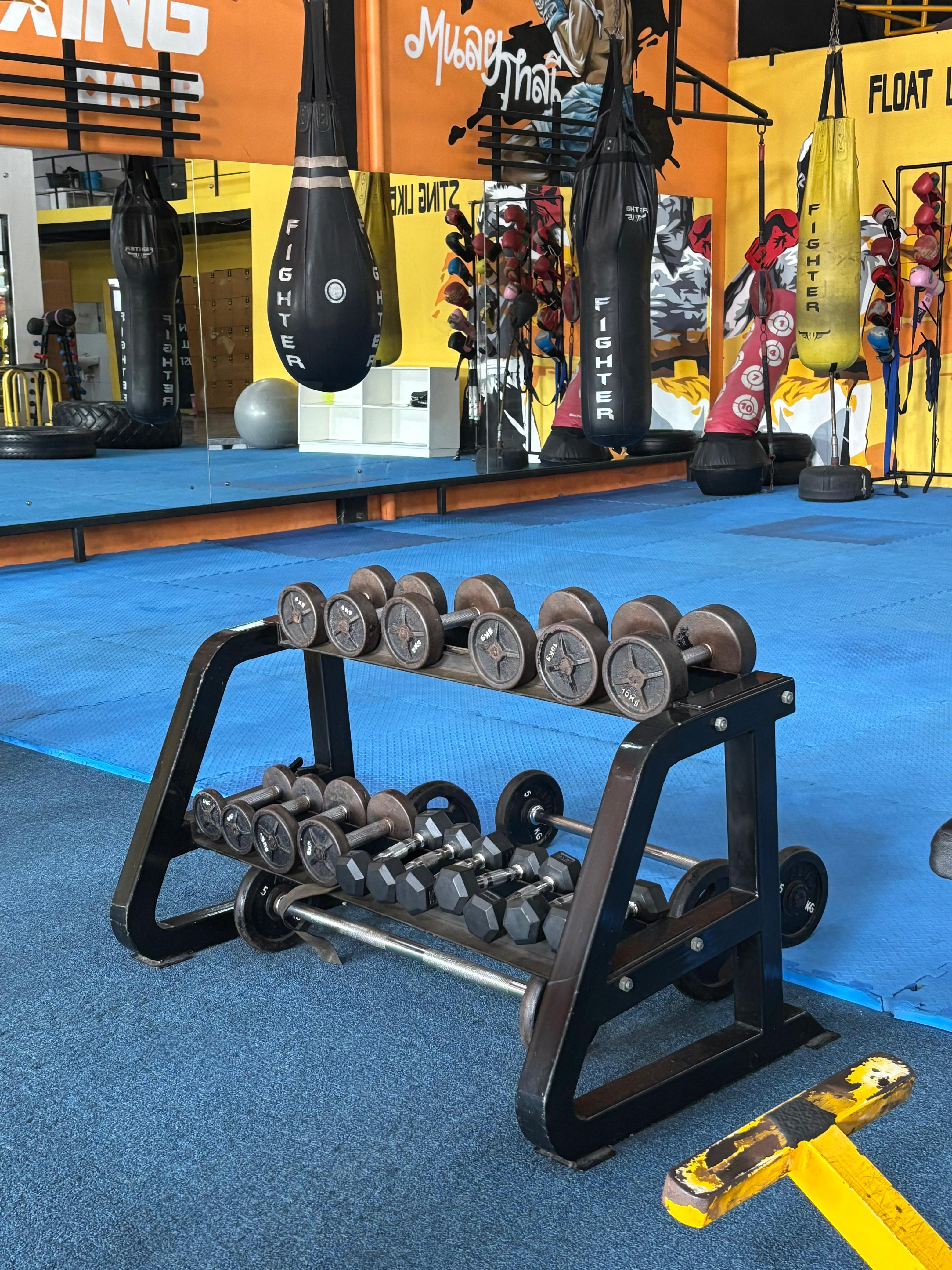Dumbbell Rack